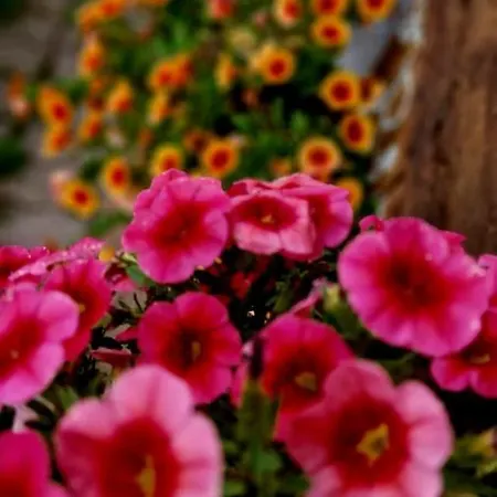 Silenzio E Buio Calizzano