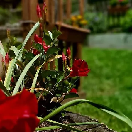 Bed & Breakfast Silenzio E Buio