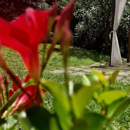 Bed and Breakfast Silenzio E Buio Calizzano