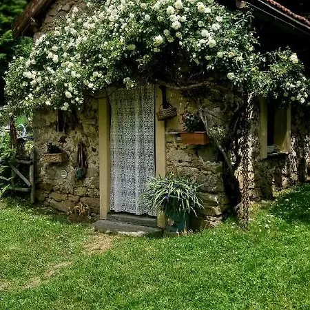 Silenzio E Buio Bed and Breakfast