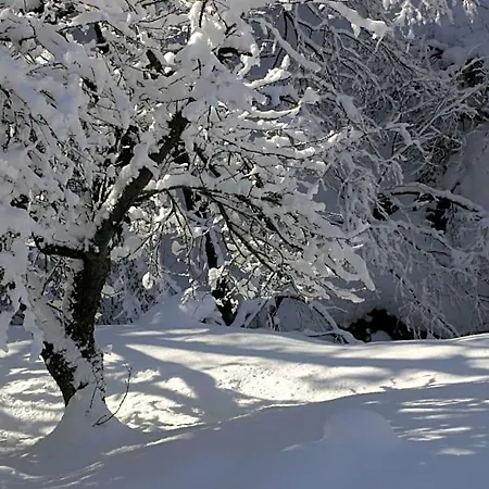 Bed and Breakfast Silenzio E Buio 3*
