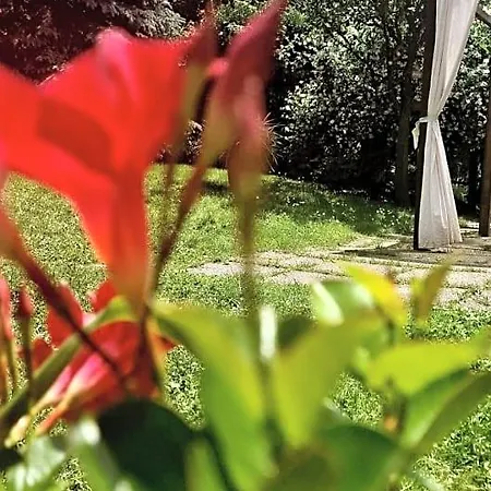 Silenzio E Buio Bed and Breakfast
