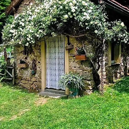 Silenzio E Buio 3*