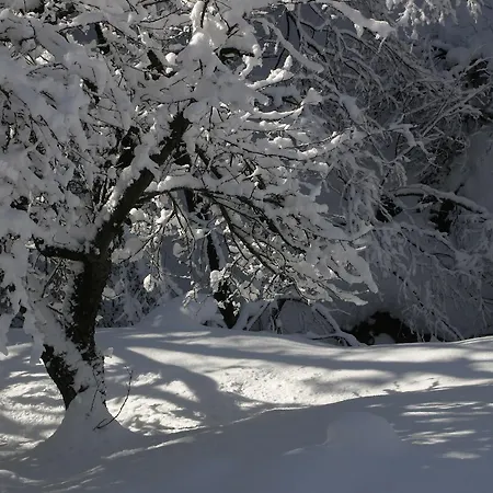 Silenzio E Buio Bed & Breakfast Calizzano