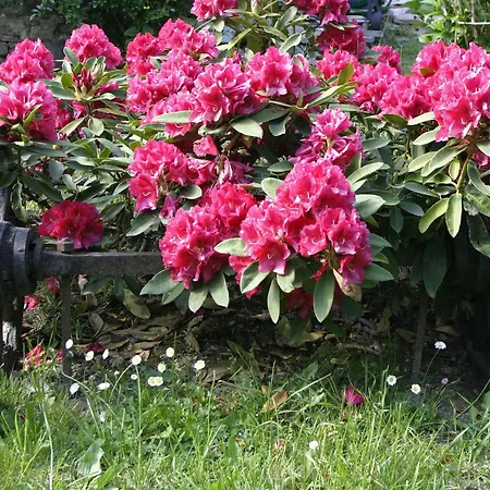 Silenzio E Buio Calizzano