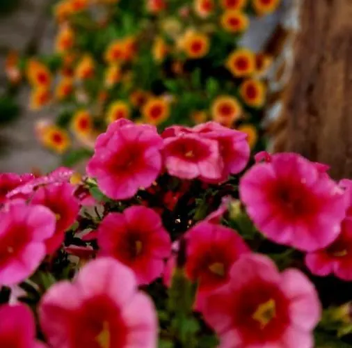 Silenzio E Buio Calizzano