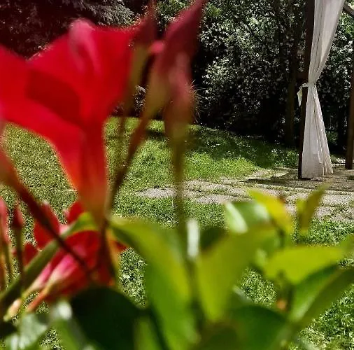 Bed & Breakfast Silenzio E Buio Calizzano