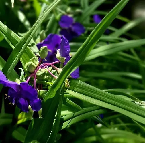 Silenzio E Buio Couette-café