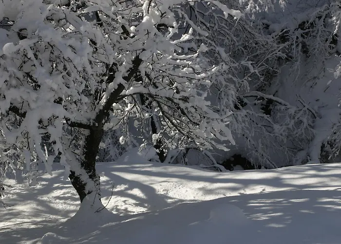 Silenzio E Buio Bed & Breakfast Calizzano