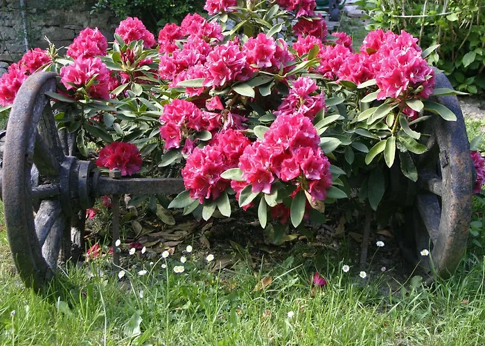 Silenzio E Buio Calizzano